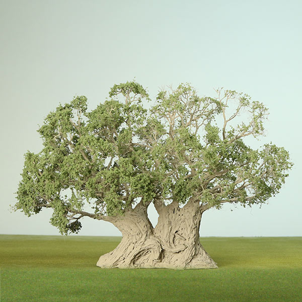 Model Pashtun juniper tree
