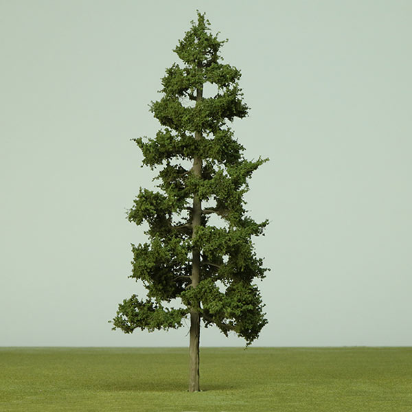 Model Conifer trees