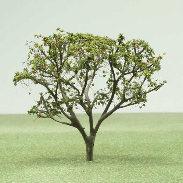 Magnolia model tree