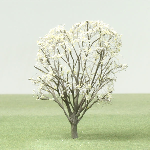 Magnolia model tree