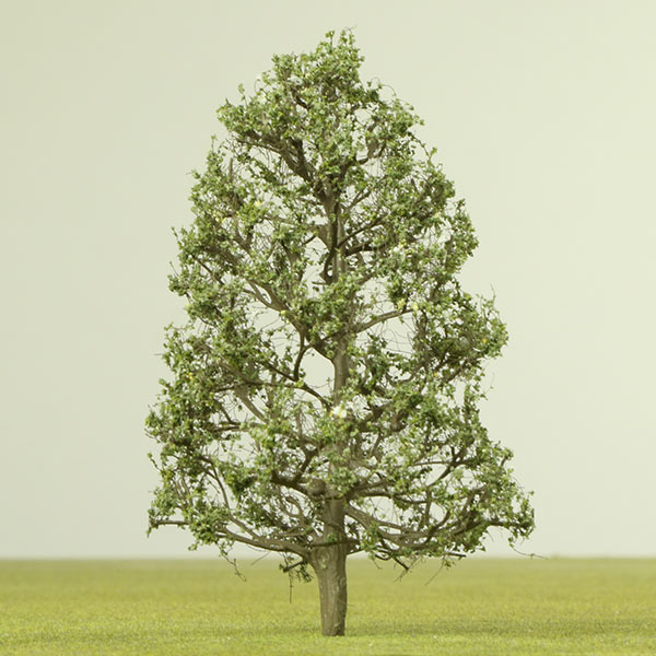 Southern magnolia model tree