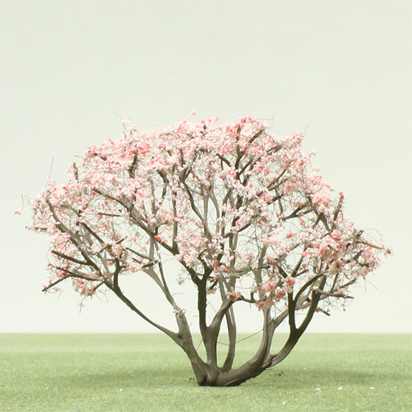 Magnolia 'Leonard Messel' model tree