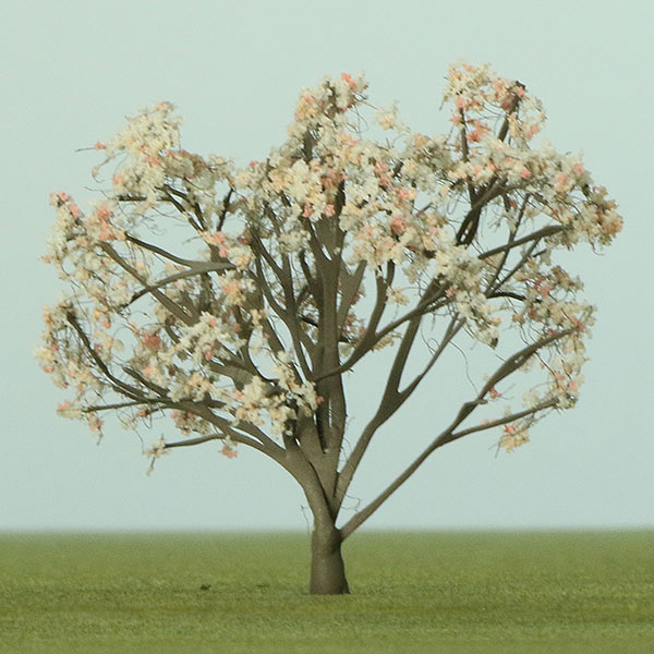 Magnolia 'Leonard Messel' model tree