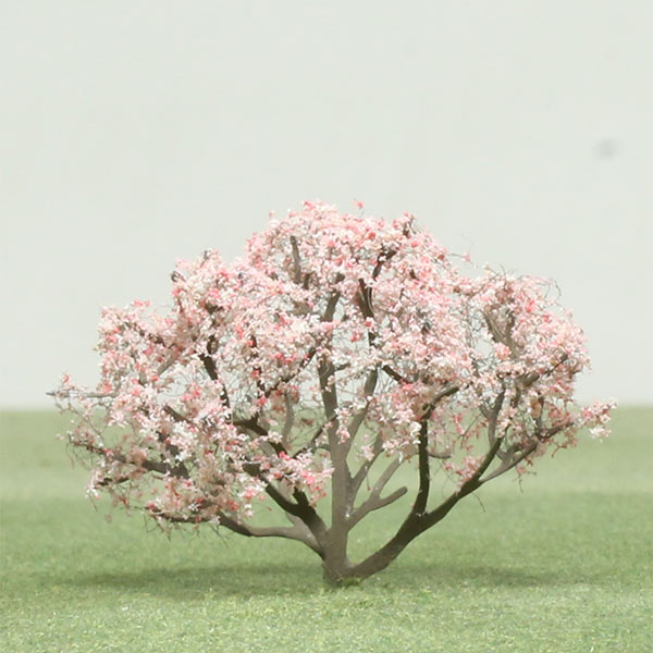 Saucer magnolia model tree