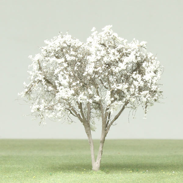 Star magnolia model tree