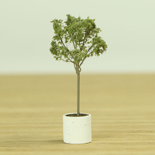 Indoor olive model tree