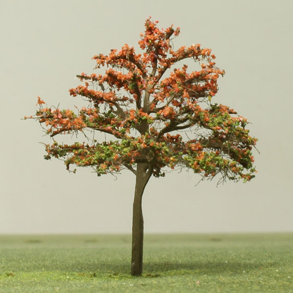Persian ironwood model tree