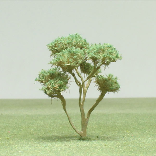 Green olive model tree