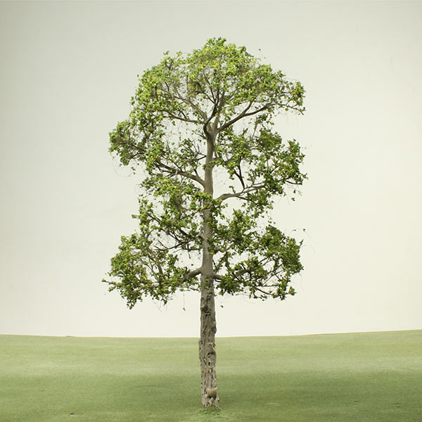 Plane tree model tree