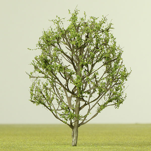 Oriental plane
model tree