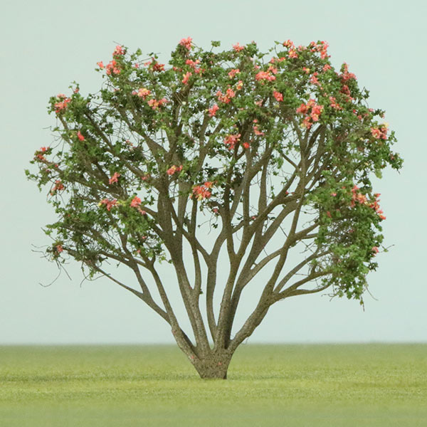Red frangipani model tree