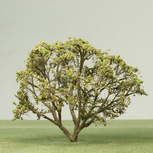 Ghaf tree model tree