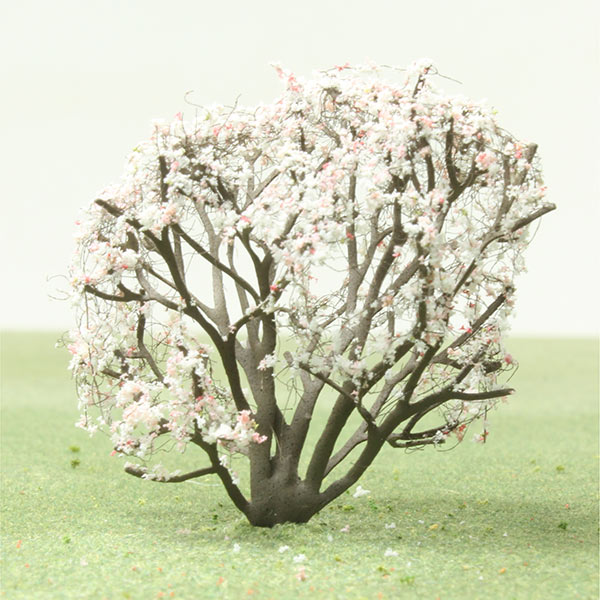 Cherry model tree