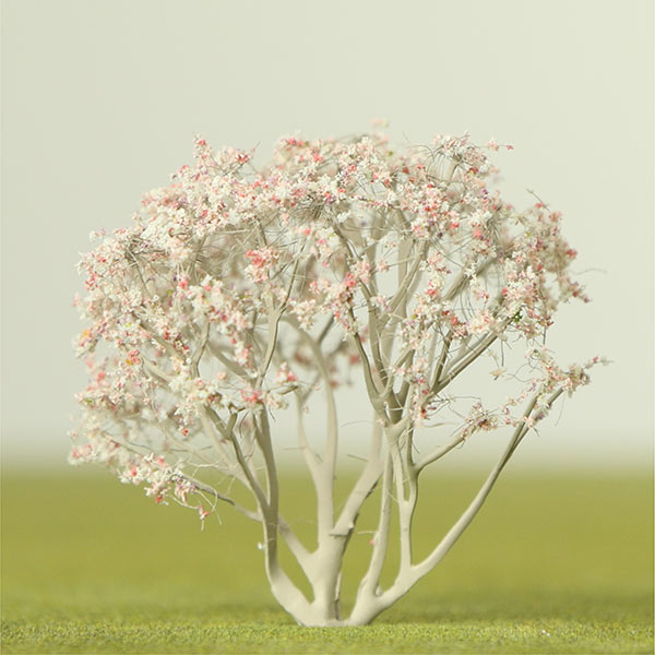 Blossoming cherry model tree