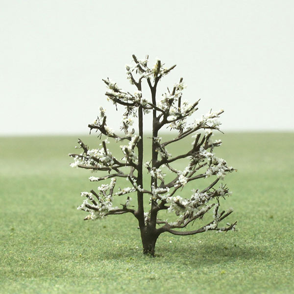Wild cherry 'double gean' model tree
