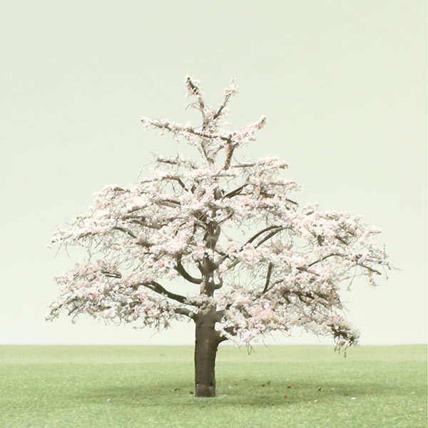 Shirofugen cherry model tree