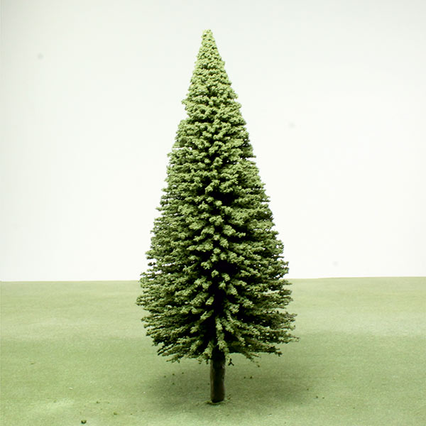 Douglas fir model tree