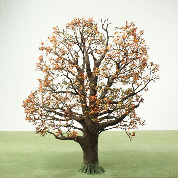 Model oak tree in autumn foliage