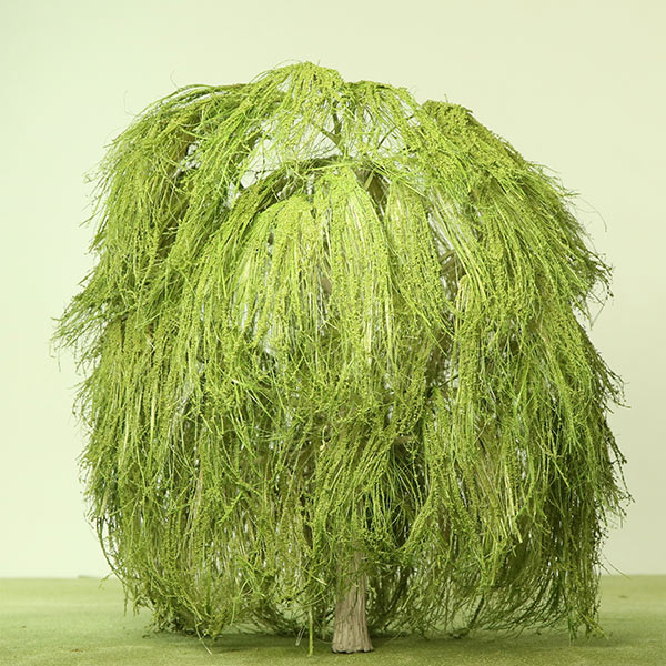 Weeping willow model tree