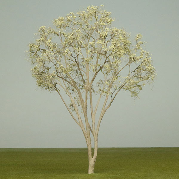 Red willow model tree