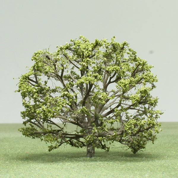 Model Soapberry tree