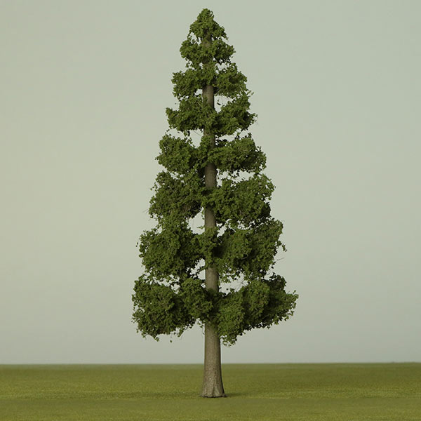 California redwood model tree