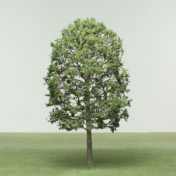 Whitebeam species model trees