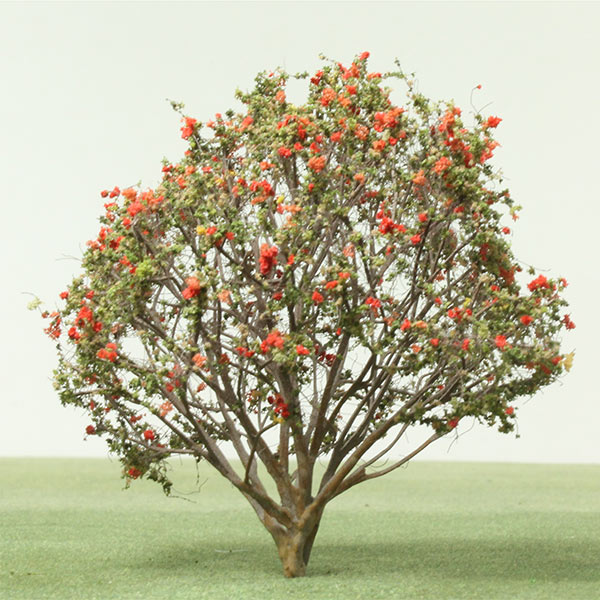 Rowan (mountain-ash) model tree