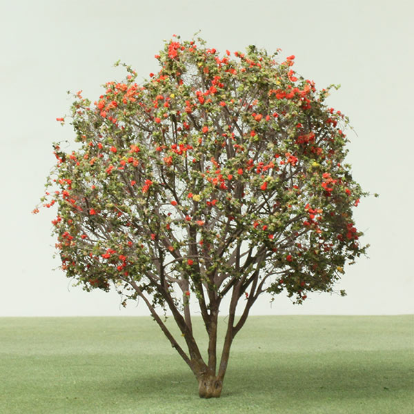 Rowan species model trees