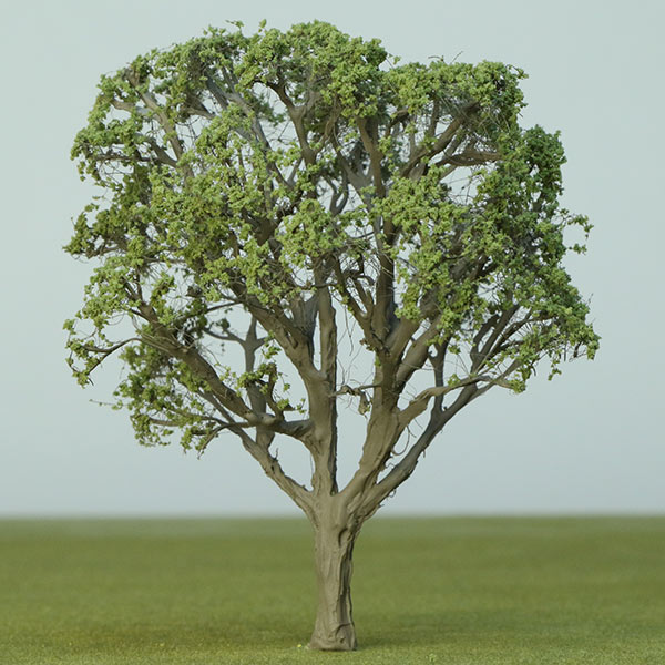 American mahogany model tree