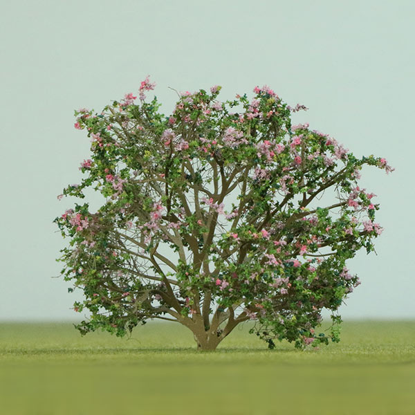 Rosy trumpet model tree