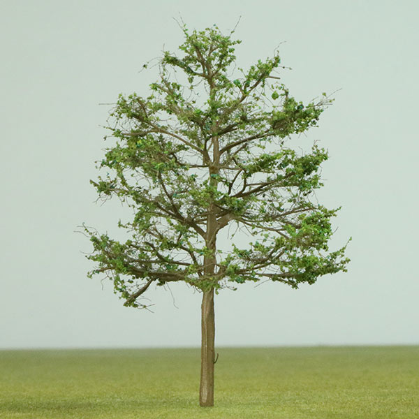 Madagascar almond model tree