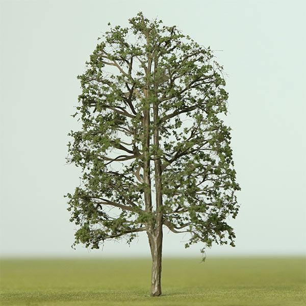 Model Lime trees