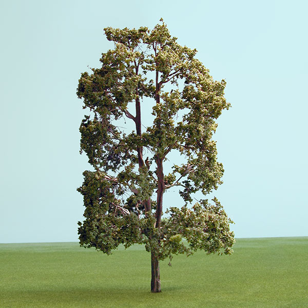 Common lime model tree