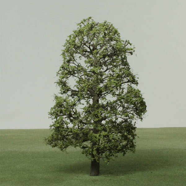 Wych elm model tree