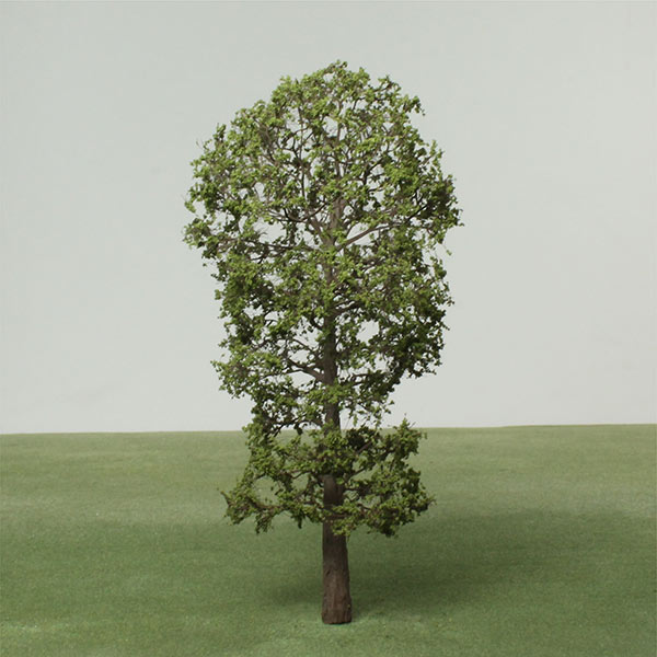 English elm model tree