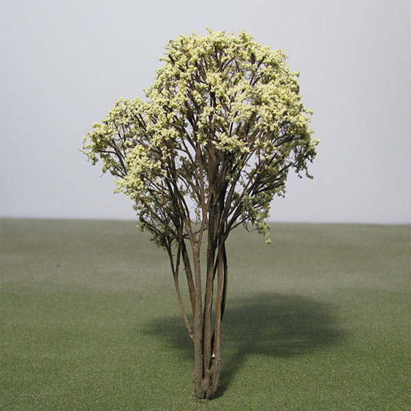Jujube model tree