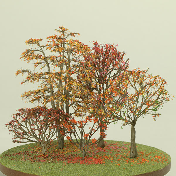 Generic model trees in autumn foliage