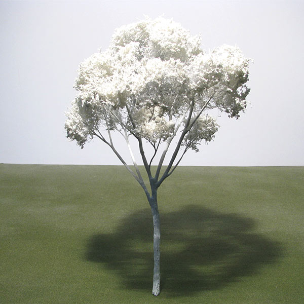 London plane model tree