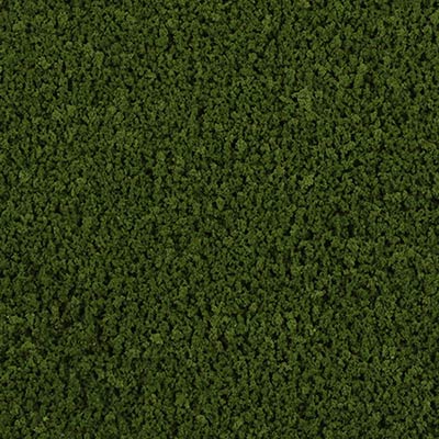 Conifer Cypress coloured texture