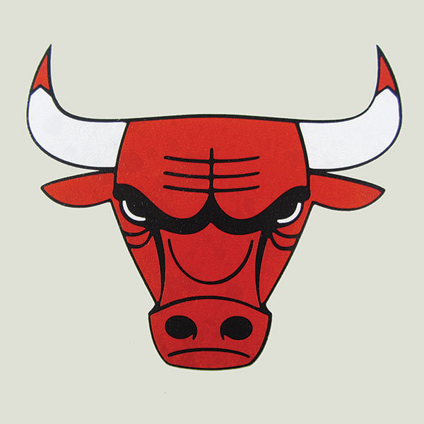 Vinyl Chicago Bulls logo