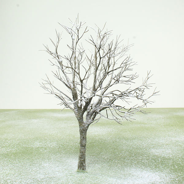 Model tree in Winter foliage