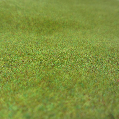 Autumn green grass mat