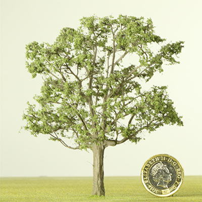 100mm Oak model tree