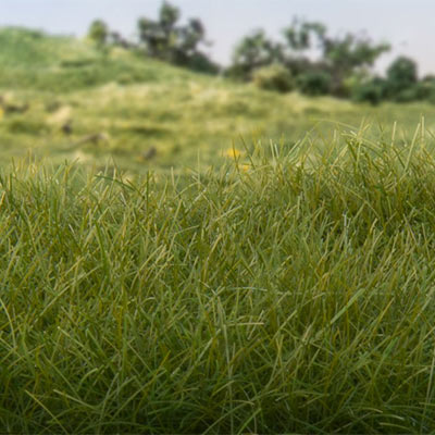 Dark green static grass