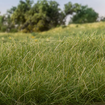 Medium green static grass
