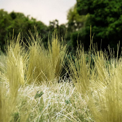 Create tufts of Static Grass or Field Grass