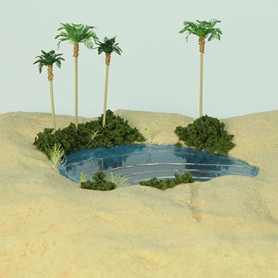 Make a miniature oasis