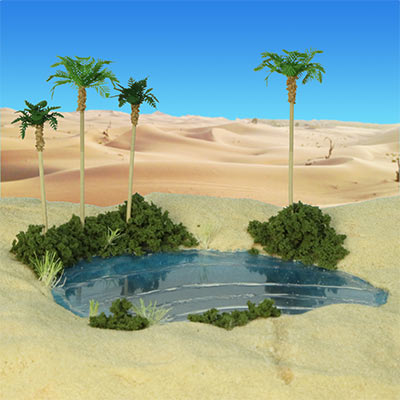 Make a miniature oasis