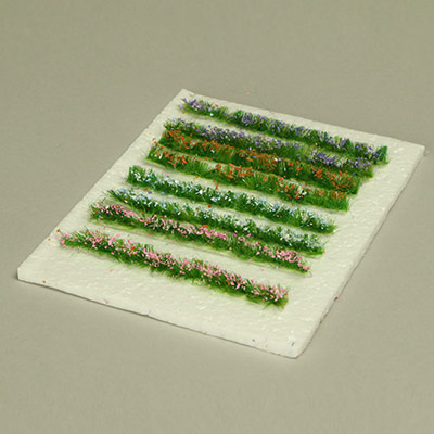 5mm flowering pathway